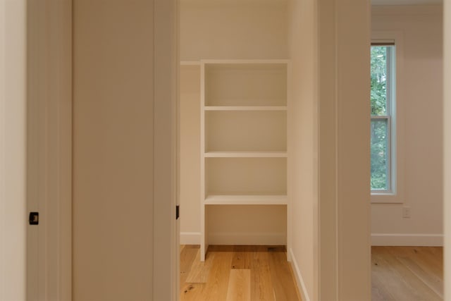 305 Meadow Tree Ct, Travelers Rest, SC 29690 - view of closet