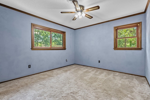 320 Whitfield Dr, Pendleton, SC 29670 - empty room featuring plenty of natural light, a ceiling fan, carpet, crown molding, and a textured ceiling