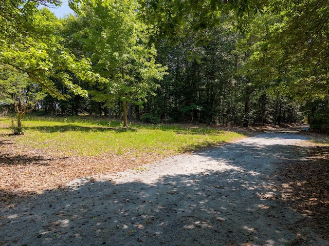 320 Whitfield Dr, Pendleton, SC 29670 - view of street with a forest view