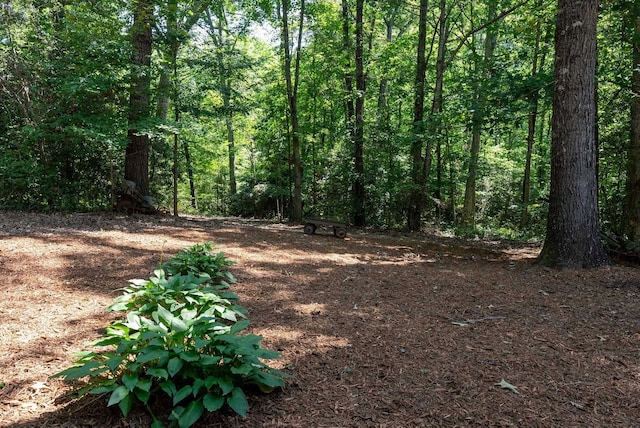 320 Whitfield Dr, Pendleton, SC 29670 - view of wooded area