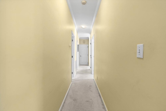 216 Antrim Ave, Moore, SC 29369 - hall with light colored carpet and crown molding