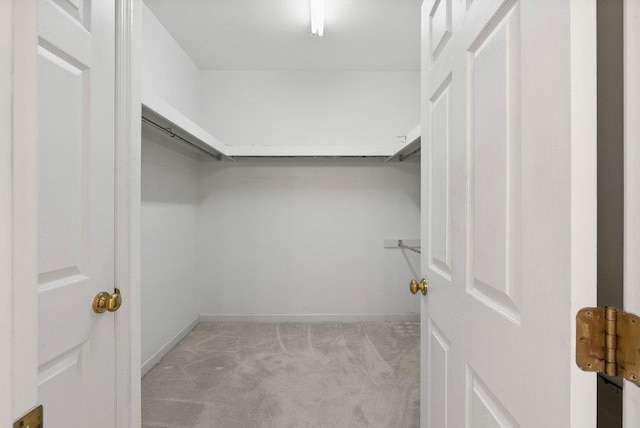 216 Antrim Ave, Moore, SC 29369 - spacious closet with light carpet