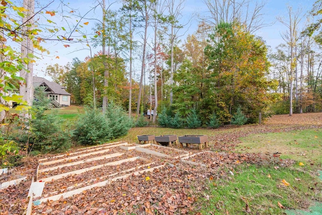 154 S Lake Emory Dr, Inman, SC 29349 - view of yard with a vegetable garden