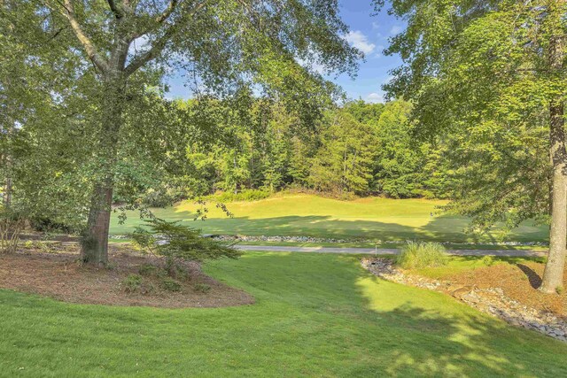 309 Carolina Club Dr, Spartanburg, SC 29306 - photo 38