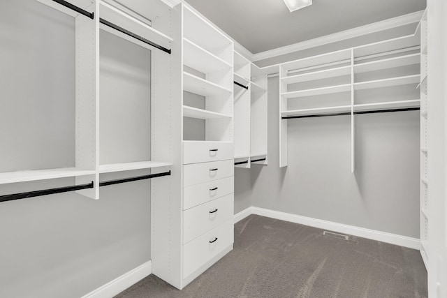 528 Carolee Way, Greer, SC 29651 - walk in closet with dark colored carpet