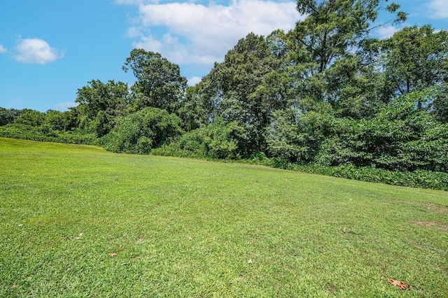 615 Gramercy Blvd, Spartanburg, SC 29301 - photo 49