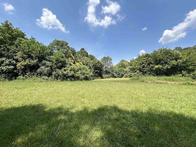 00 Meadow St, Gaffney, SC 29342 - photo 4