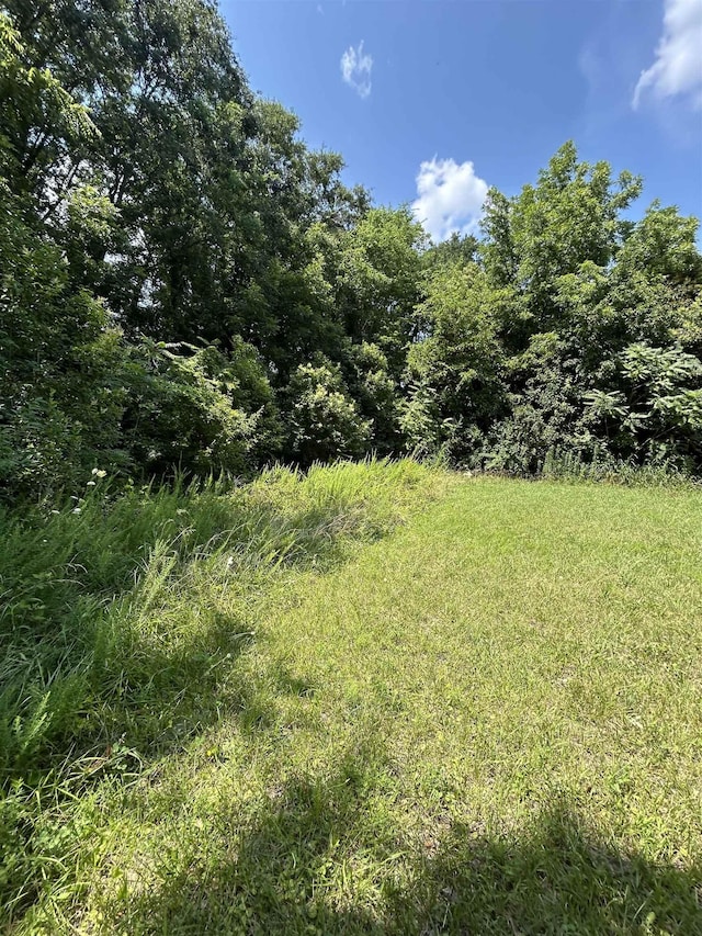 00 Meadow St, Gaffney, SC 29342 - photo 5