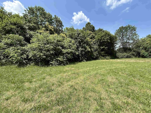 00 Meadow St, Gaffney, SC 29342 - photo 8