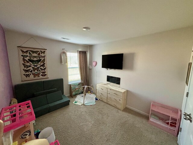 1445 Bella Grace Ct, Boiling Springs, SC 29316 - photo 18