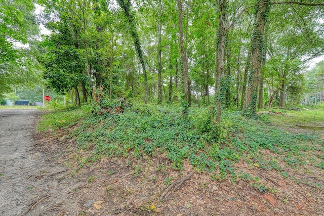4531 Chesnee Hwy, Chesnee, SC 29323 - photo 1