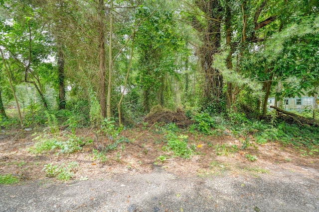 4531 Chesnee Hwy, Chesnee, SC 29323 - photo 2