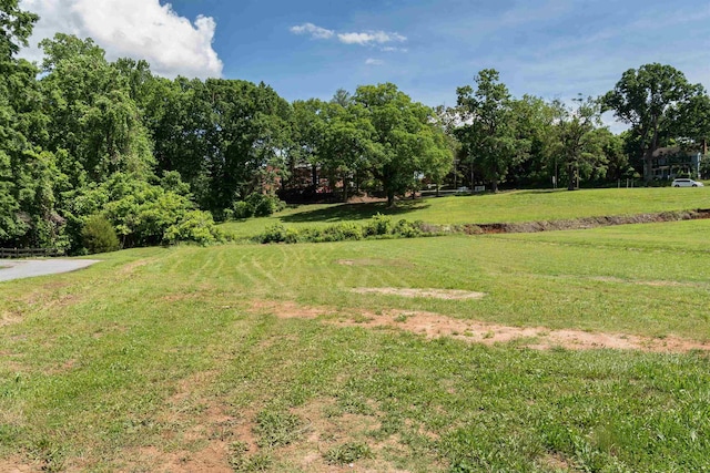 114 Montgomery St, Campobello, SC 29322 - photo 48