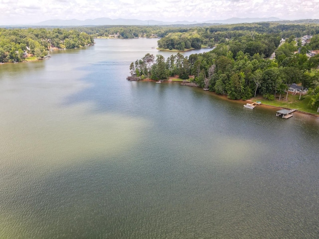 454 Chapman Dr, Inman, SC 29349 - drone / aerial view of a water and mountain view and a forest