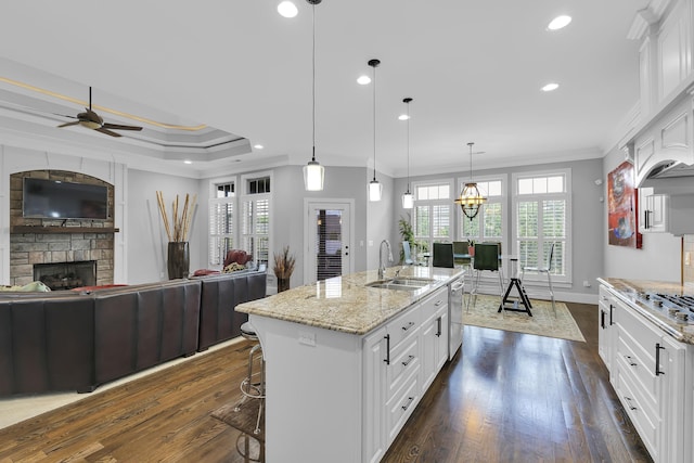 498 Double Bridge Rd, Boiling Springs, SC 29316 - kitchen with crown molding, recessed lighting, dark wood-type flooring, a fireplace, and ceiling fan