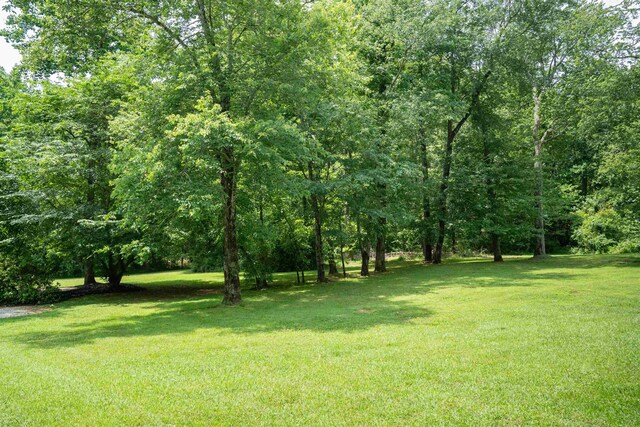 763 Grassy Pond Rd, Gaffney, SC 29341 - photo 26