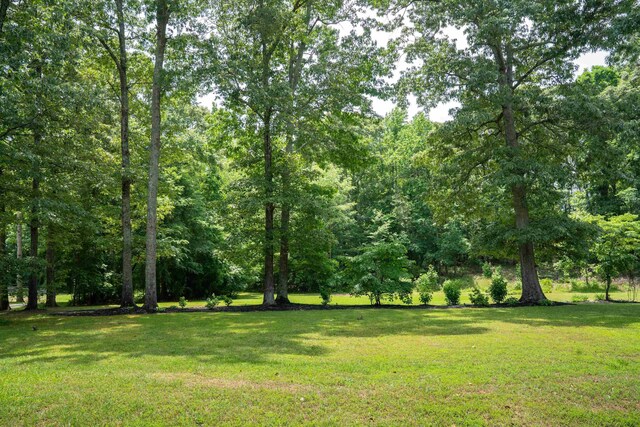 763 Grassy Pond Rd, Gaffney, SC 29341 - photo 31