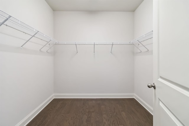 881 Deepwood Ct, Boiling Springs, SC 29316 - walk in closet featuring dark wood finished floors