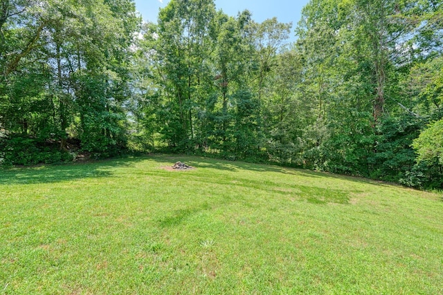 703 Patriot Ln, Greer, SC 29651 - view of grassy yard