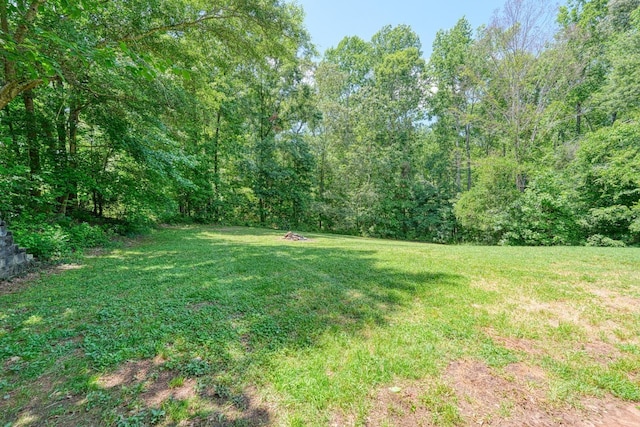 703 Patriot Ln, Greer, SC 29651 - view of green lawn featuring a forest view