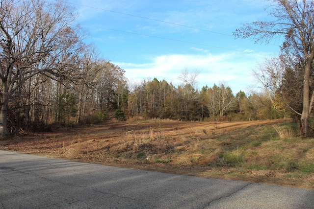 240 Overhead Bridge Rd, Chesnee, SC 29323 - photo 4