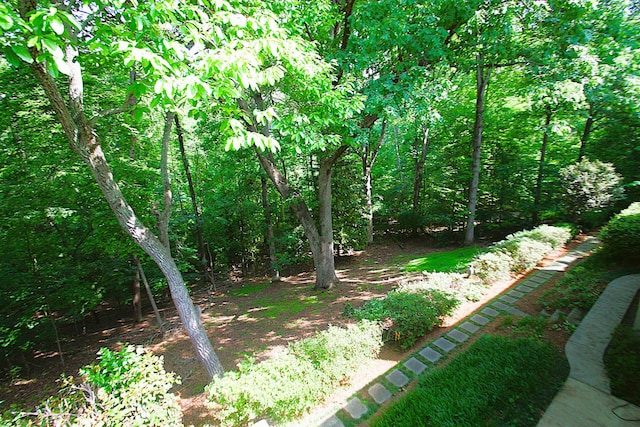 294 Hollis Dr, Spartanburg, SC 29307 - photo 22