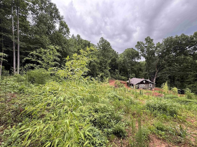 8875 N Tigerville Rd, Travelers Rest, SC 29690 - view of tree filled area