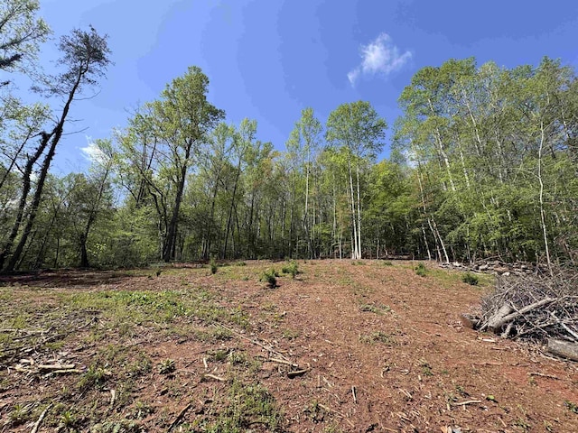 8875 N Tigerville Rd, Travelers Rest, SC 29690 - view of woods