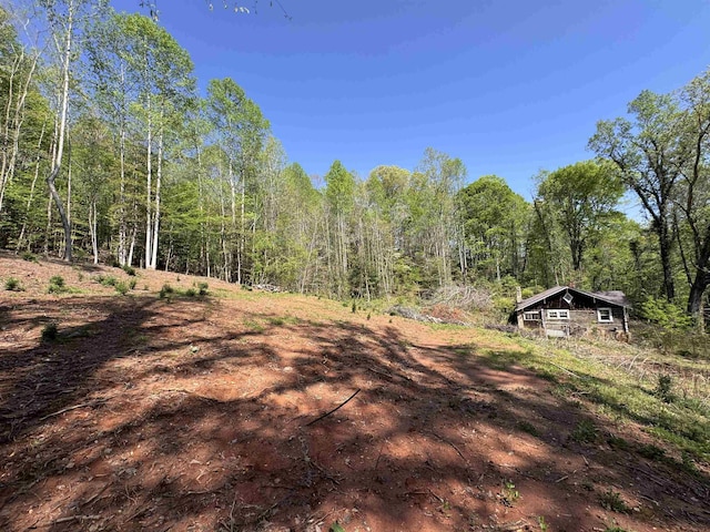 8875 N Tigerville Rd, Travelers Rest, SC 29690 - view of yard with a wooded view