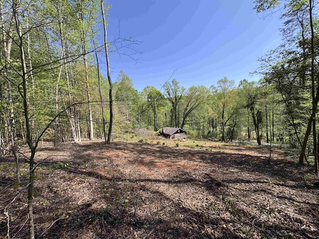 8875 N Tigerville Rd, Travelers Rest, SC 29690 - view of wooded area