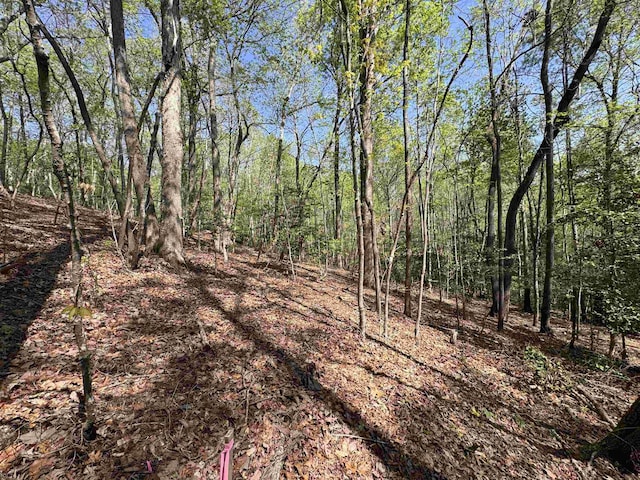 8875 N Tigerville Rd, Travelers Rest, SC 29690 - view of wooded area