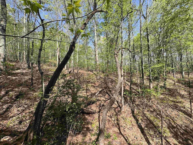 8875 N Tigerville Rd, Travelers Rest, SC 29690 - view of tree filled area