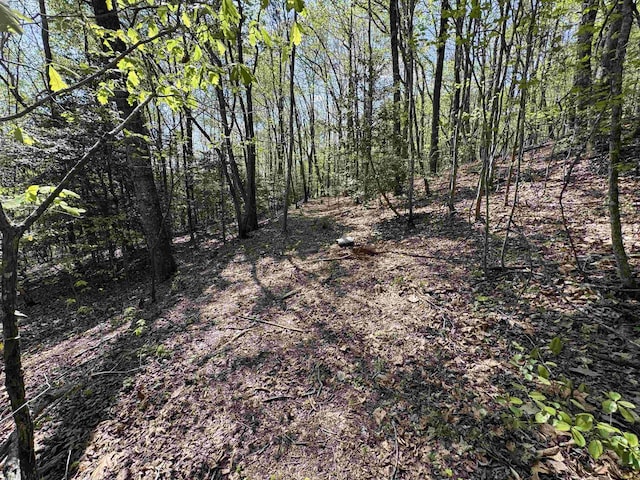 8875 N Tigerville Rd, Travelers Rest, SC 29690 - view of wooded area
