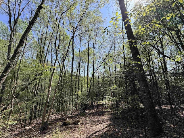 8875 N Tigerville Rd, Travelers Rest, SC 29690 - view of wooded area