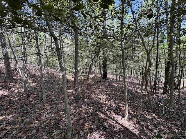 8875 N Tigerville Rd, Travelers Rest, SC 29690 - view of local wilderness