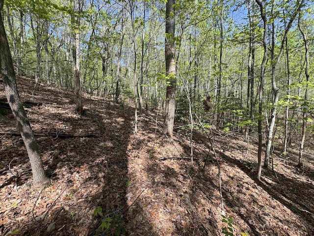 8875 N Tigerville Rd, Travelers Rest, SC 29690 - view of nature