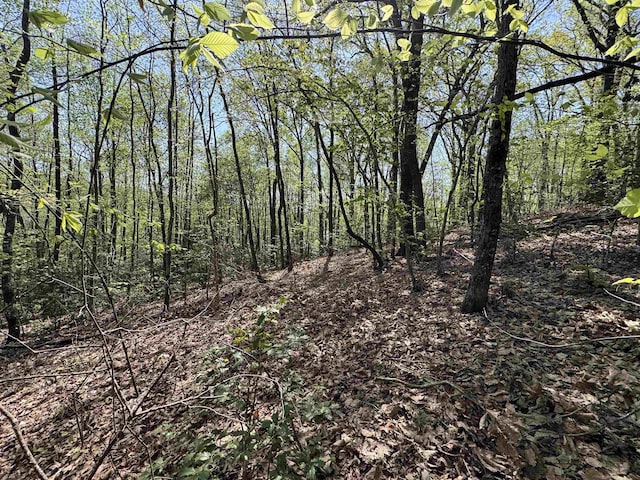 8875 N Tigerville Rd, Travelers Rest, SC 29690 - view of tree filled area