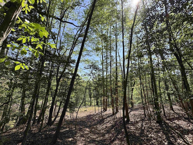 8875 N Tigerville Rd, Travelers Rest, SC 29690 - view of local wilderness