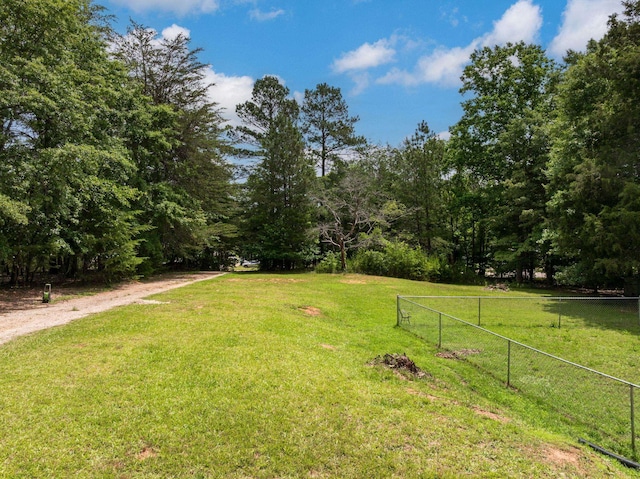 1342 Old Canaan Rd, Spartanburg, SC 29306 - view of yard