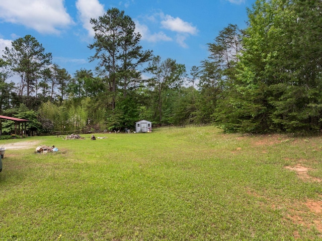 1342 Old Canaan Rd, Spartanburg, SC 29306 - view of green lawn featuring a shed