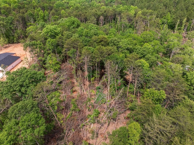1342 Old Canaan Rd, Spartanburg, SC 29306 - bird's eye view of a heavily wooded area