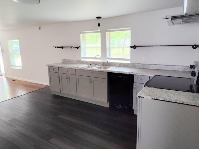 117 Sycamore St, Pacolet, SC 29372 - kitchen featuring dishwasher, extractor fan, dark wood-type flooring, and healthy amount of natural light
