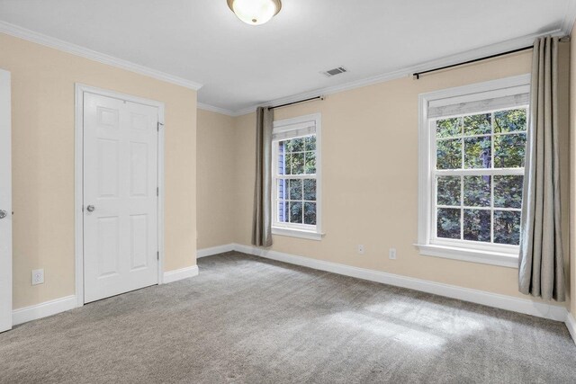 67 Devonhall Way, Taylors, SC 29687 - photo 41