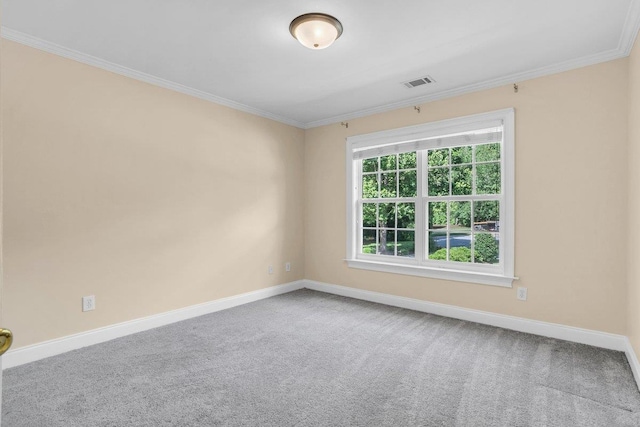 67 Devonhall Way, Taylors, SC 29687 - photo 42