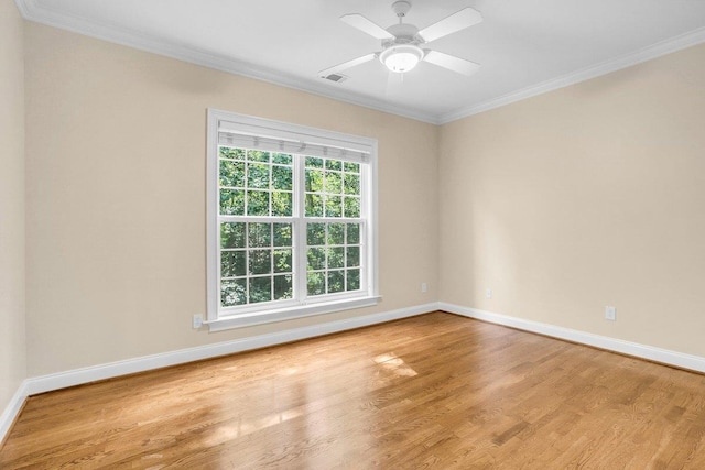 67 Devonhall Way, Taylors, SC 29687 - photo 25