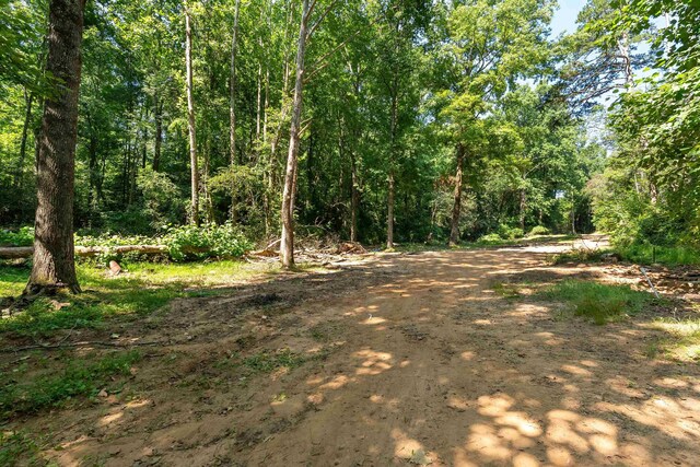 7004 Mountain View Rd, Taylors, SC 29687 - photo 4
