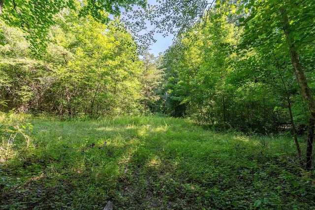 7004 Mountain View Rd, Taylors, SC 29687 - photo 3