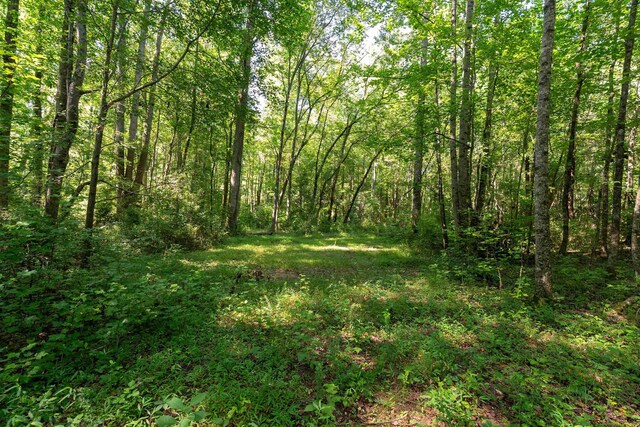 7004 Mountain View Rd, Taylors, SC 29687 - photo 6