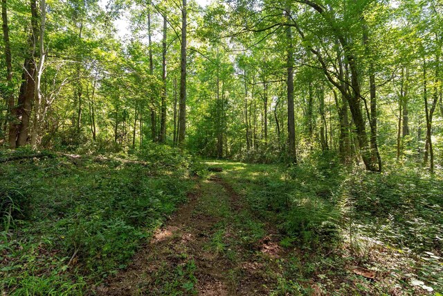 7004 Mountain View Rd, Taylors, SC 29687 - photo 8