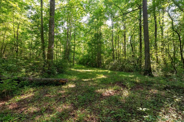 7004 Mountain View Rd, Taylors, SC 29687 - photo 9